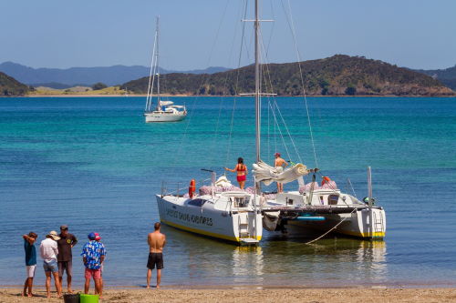Take a Relaxing Sunset Cruise in the Bay of Islands